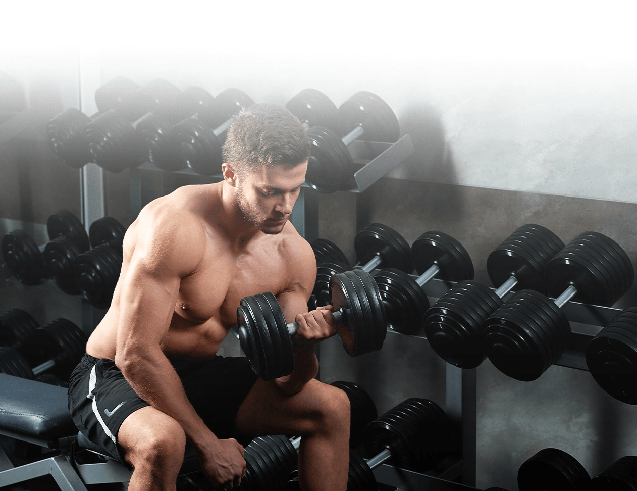 Mass Gainer product